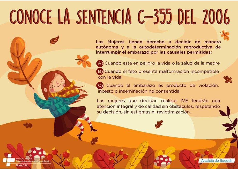 Sentencia C-355